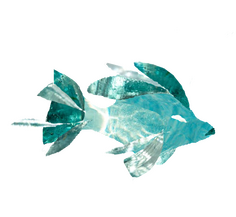 Glassfish